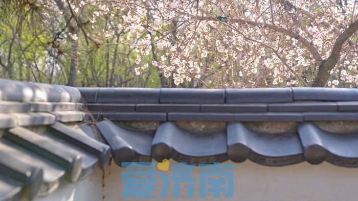 娓歌娉夊煄鍏洯,娉夊煄鍏洯娓歌