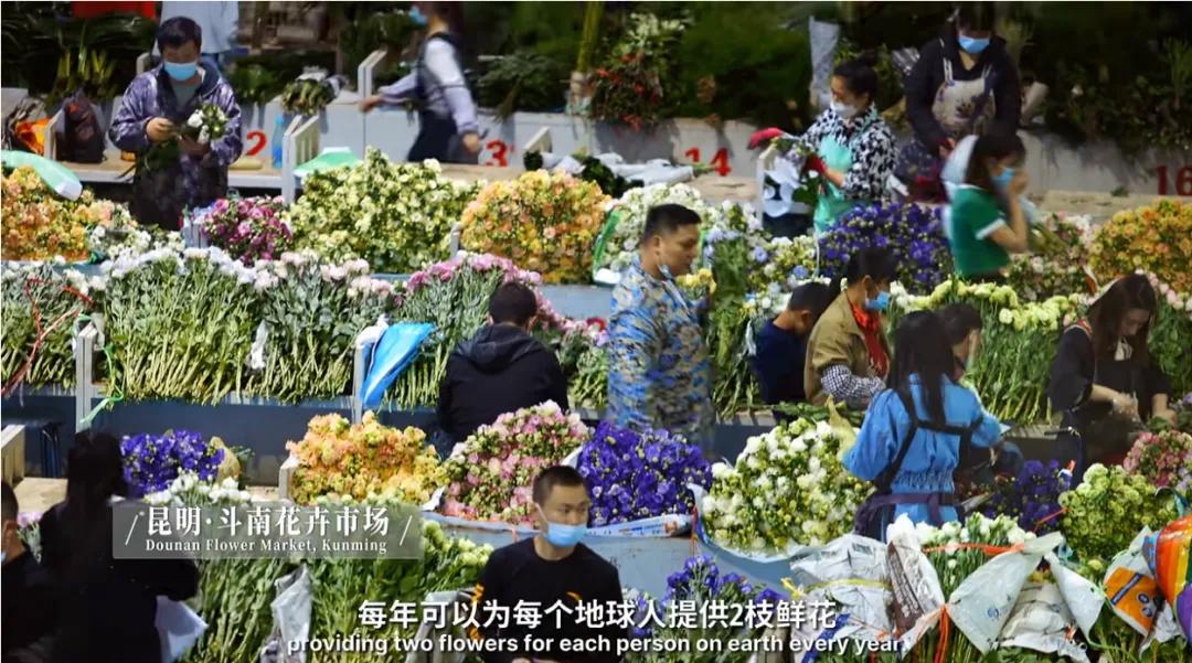 万千气象看云南|《什么是云南》，这就是云南！