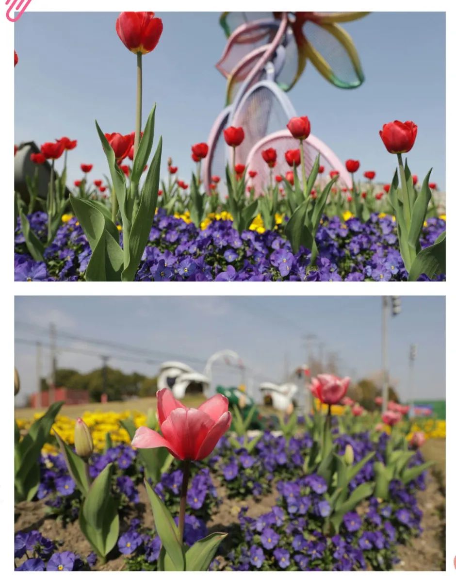 清明假期我市天气晴好气温上升,大范围雨水来袭清明的天气