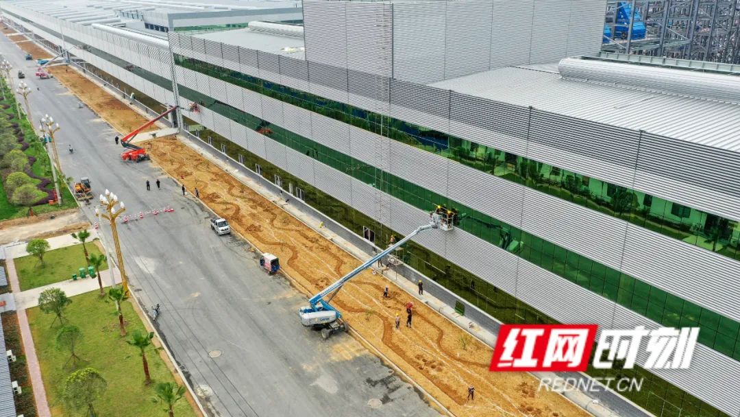 观潮的螃蟹,观潮的螃蟹是谁