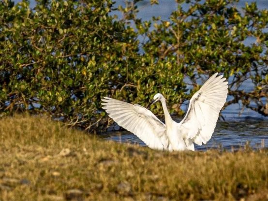 邂逅山水与古村!4月葵涌旅行攻略来啦
