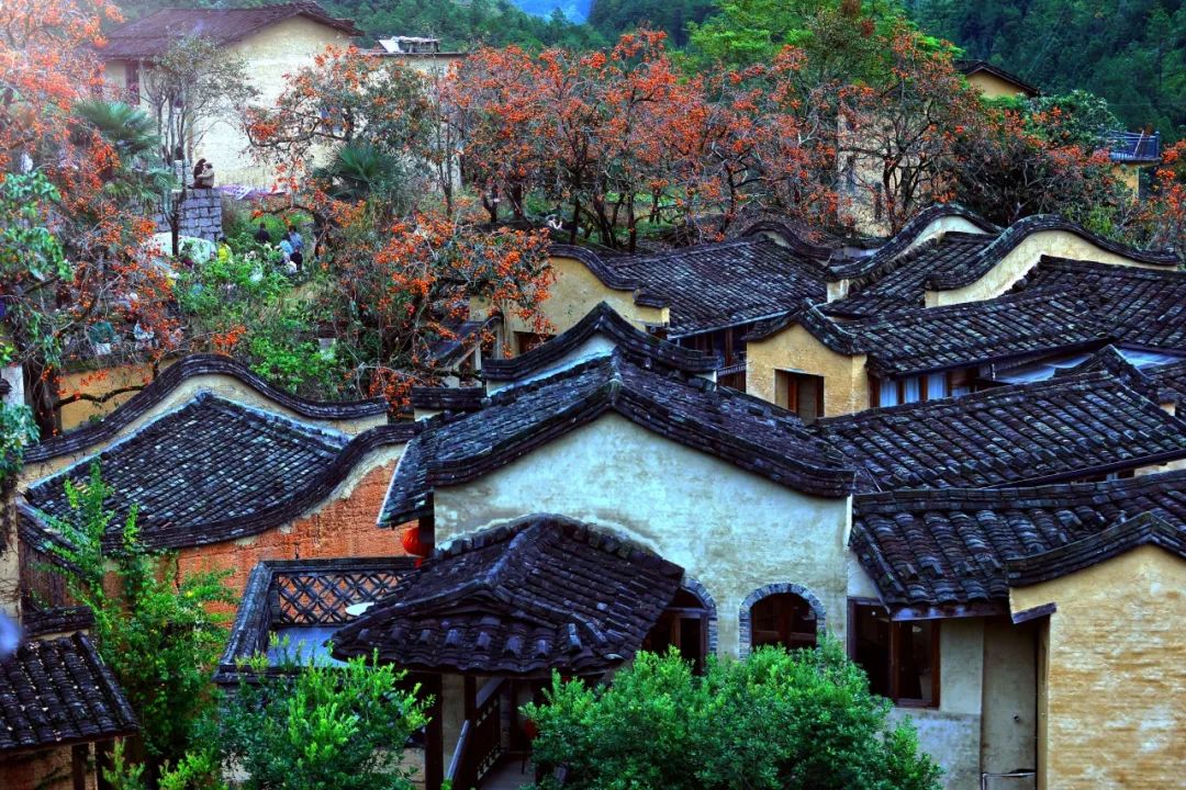 福建屏南乡村文创振兴有力量,宁德屏南文创让古村再现芳华