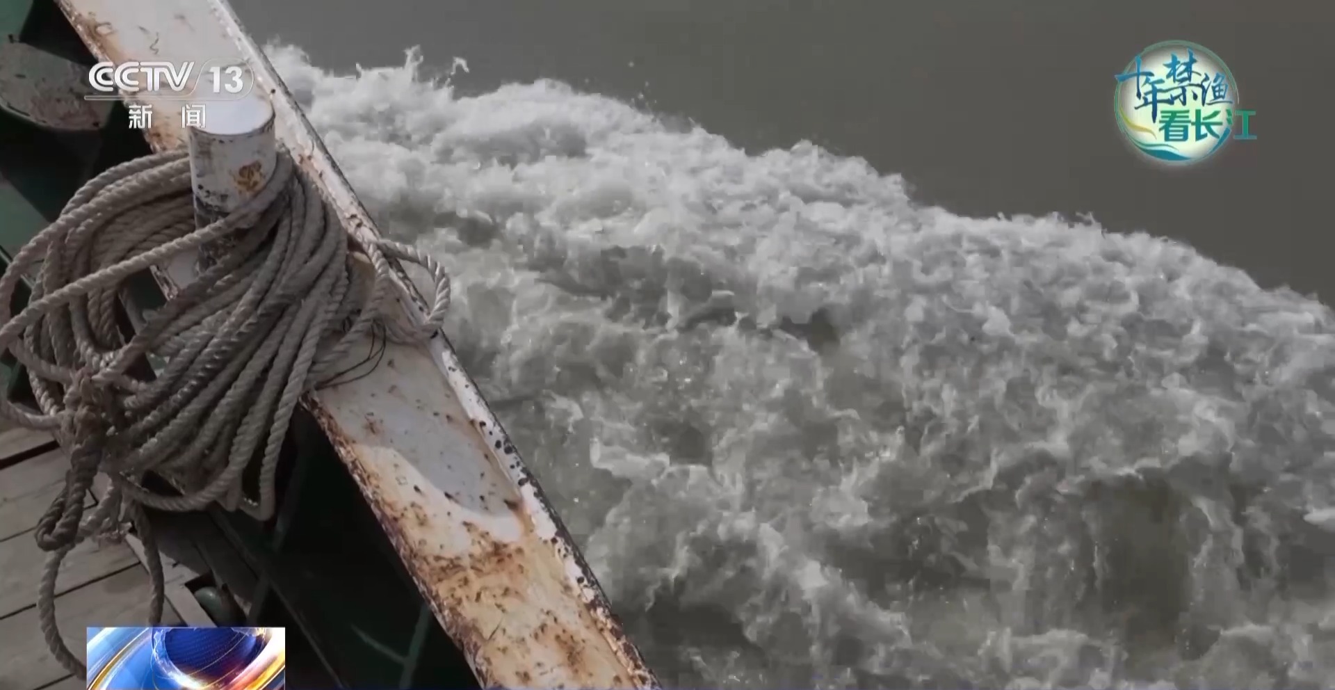 长江禁渔鱼类数据变化,长江禁渔三年多鱼儿们过得怎么样