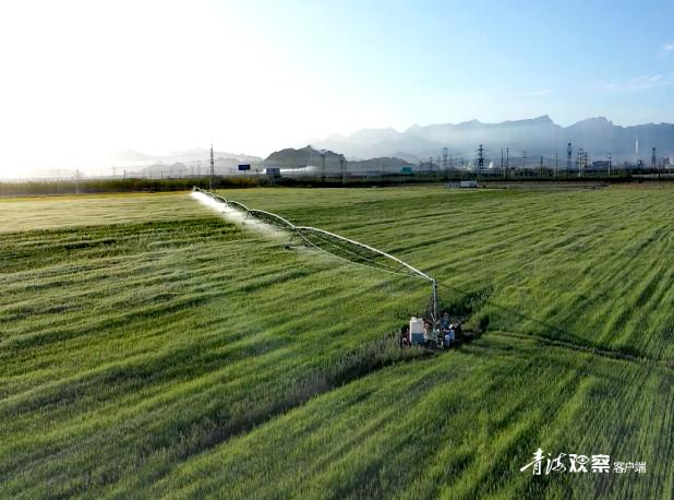 昔日的农田,昔日良田变湖泊