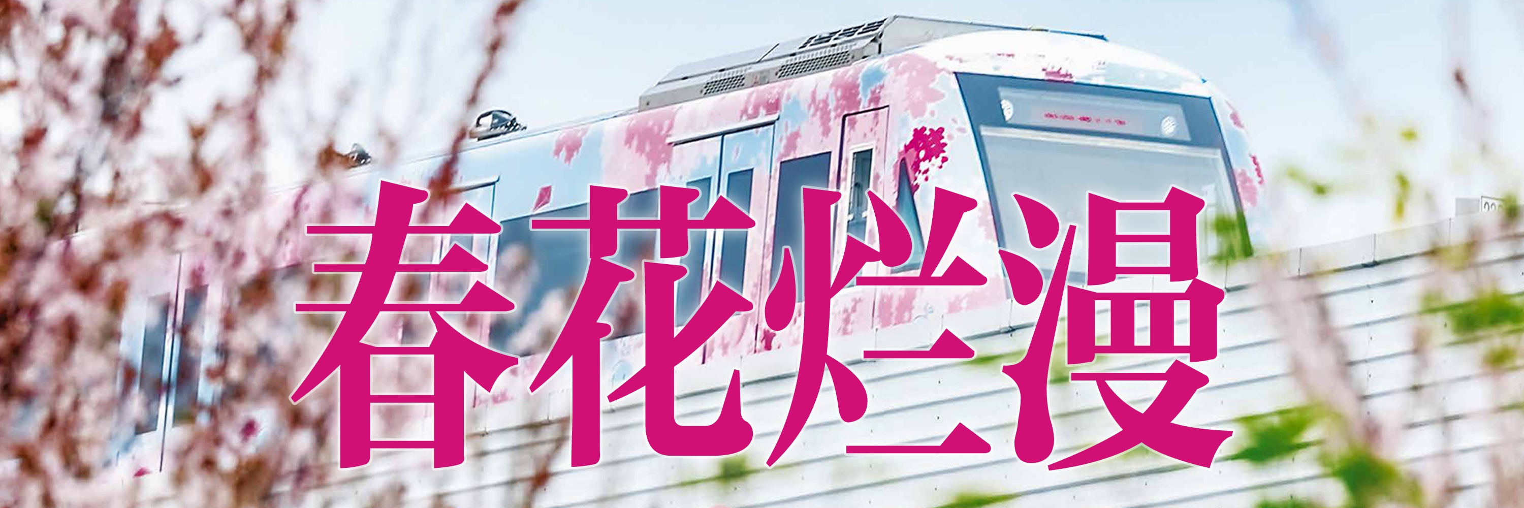 武汉欢乐谷宋韵水上婚礼在哪,宋韵水上婚礼完整版