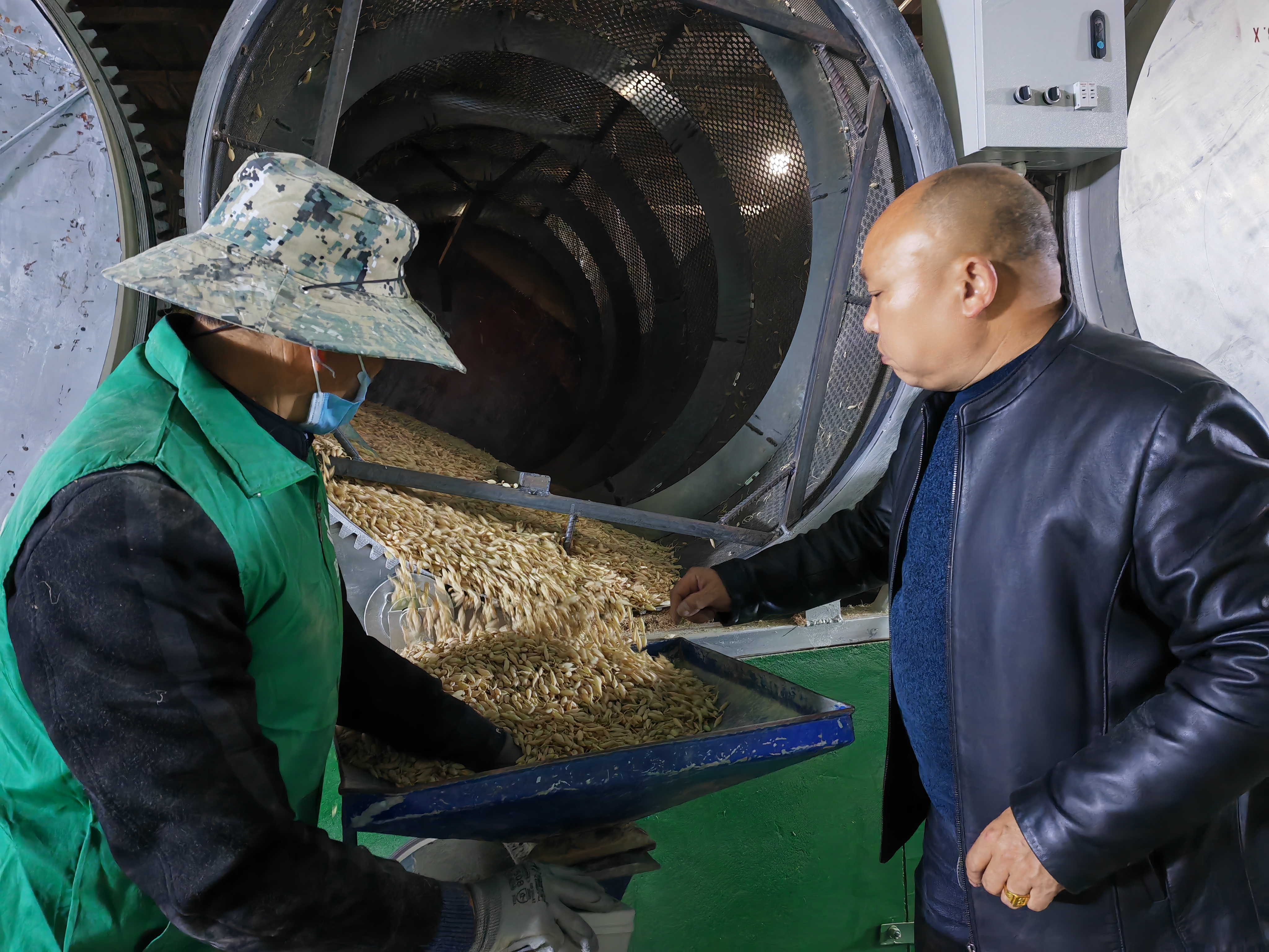 三台麦冬产业如何,三台县麦冬产业基地