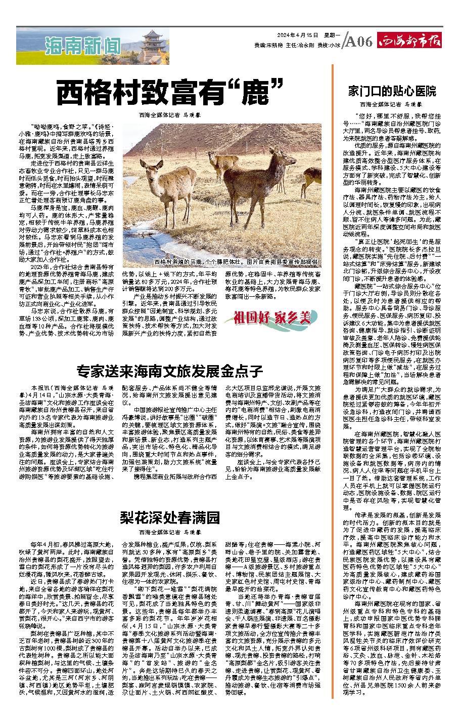 梨花深处,一树梨花春满园