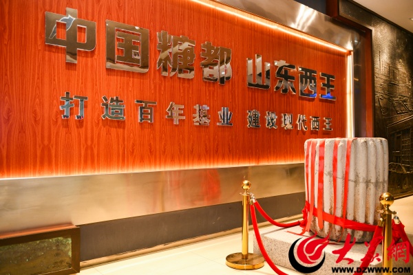 西王集团发展,西王集团玉米产业链项目