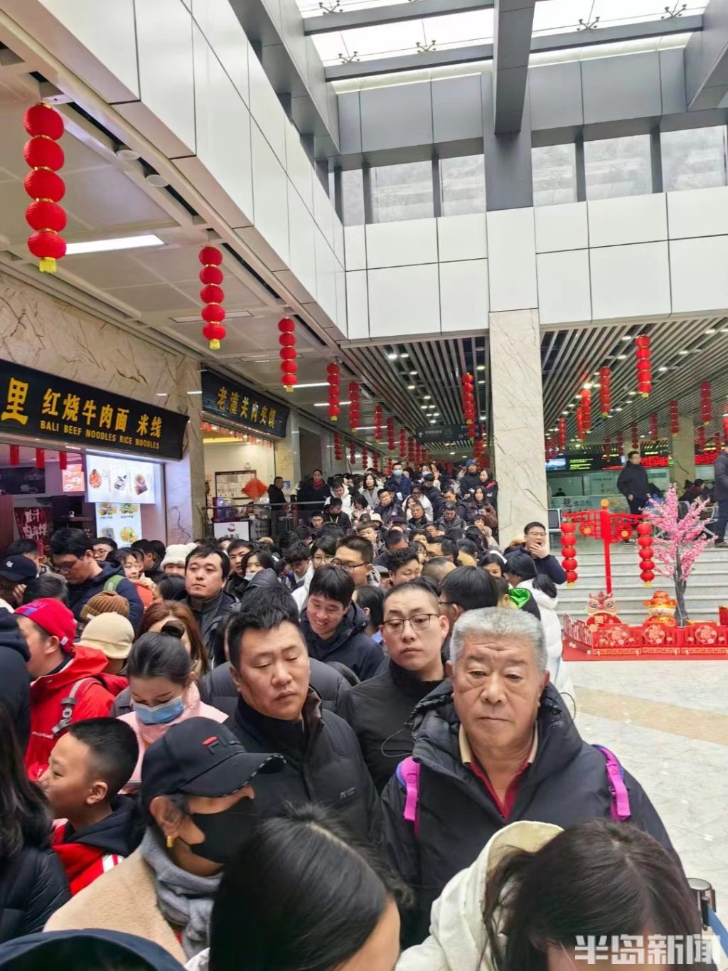 半岛调查最新视频,半岛调查