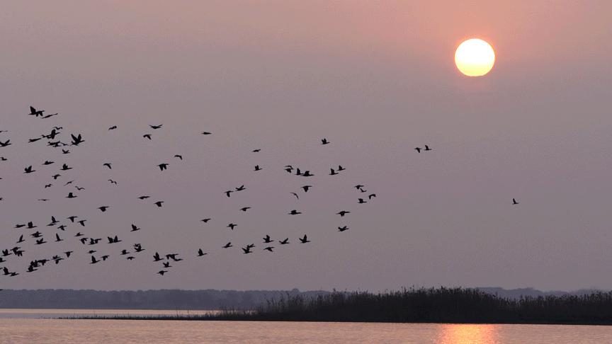 鄂州各区实力排名,鄂州各乡镇实力排名