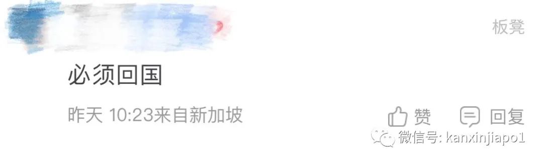 新加坡sp签证可以怀孕吗,新加坡工作签证怀孕后怎么办