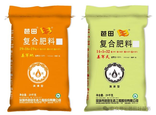 人参果种植致富,种植人参果经济价值